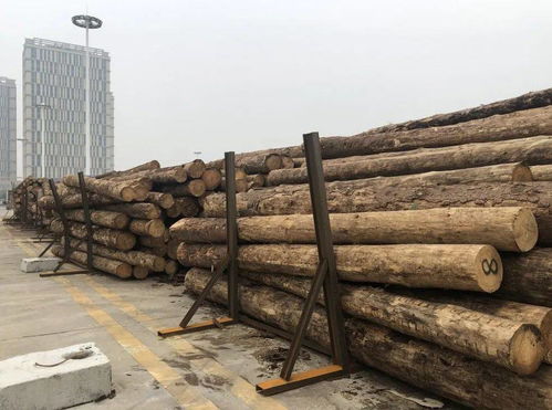 武汉首家进口木材保税加工入驻阳逻港园区